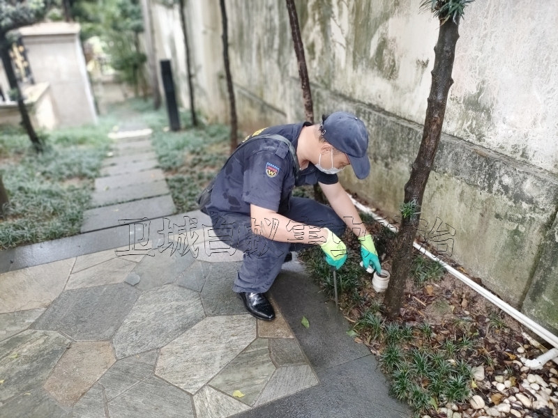 福田区白蚁防治丨深圳福田区灭白蚁公司传业提供治理方案